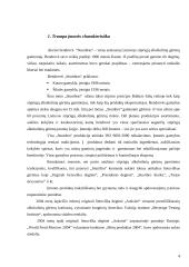 Naujo gaminio kūrimo marketingas: AB "Stumbras" 3 puslapis