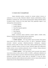 Naujo gaminio kūrimo marketingas: AB "Stumbras" 5 puslapis