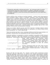 Nuolatinės galimybės 3 puslapis