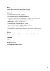 Penktos  klasės moksleivių suicidinių polinkių prevencija 4 puslapis