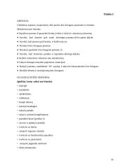 Penktos  klasės moksleivių suicidinių polinkių prevencija 10 puslapis