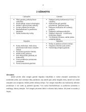 Prekė: degtukai 4 puslapis