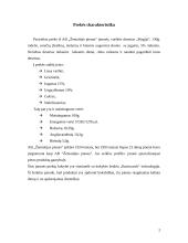 Pasirinktos prekės kainos analizė 2 puslapis