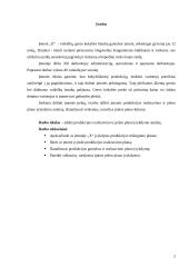 Produkcijos realizavimo ir pelno plano įvykdymo analizė 2 puslapis