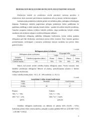Produkcijos realizavimo ir pelno plano įvykdymo analizė 3 puslapis