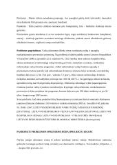 Projektas: laisvalaikio užimtumo didinimas 3 puslapis