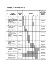 Projektas: laisvalaikio užimtumo didinimas 6 puslapis