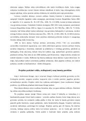 Projektas: senjorų užimtumo ir laisvalaikio dienos centras 6 puslapis