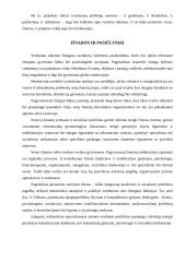 Projektas: senjorų užimtumo ir laisvalaikio dienos centras 9 puslapis