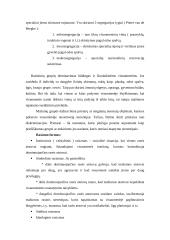 Rasizmo apibūdinimas, jo formos 3 puslapis