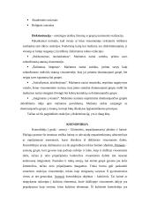 Rasizmo apibūdinimas, jo formos 4 puslapis