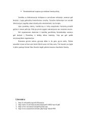 Rasizmo apibūdinimas, jo formos 9 puslapis