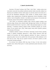 Restorano analizė: "Čili kaimas" 3 puslapis