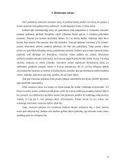 Restorano analizė: "Čili kaimas" 5 puslapis
