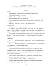 Rinkodaros komplekso elementai 2 puslapis