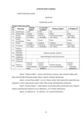 Rinkodaros komplekso elementai 12 puslapis