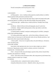 Rinkodaros komplekso elementai 3 puslapis