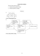 Rinkodaros komplekso elementai 10 puslapis
