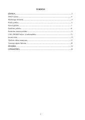 Rinkodaros politika 2 puslapis