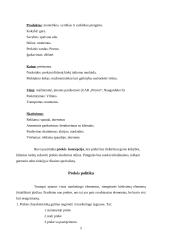 Rinkodaros politika 5 puslapis