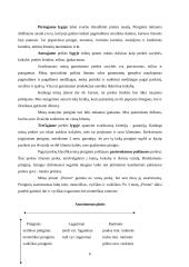 Rinkodaros politika 6 puslapis