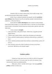 Rinkodaros politika 7 puslapis