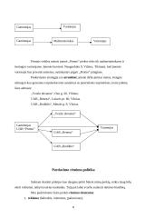 Rinkodaros politika 8 puslapis