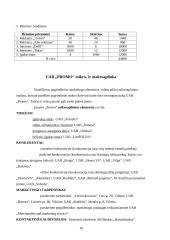 Rinkodaros politika 10 puslapis
