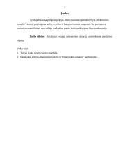 Slapto pirkėjo tyrimo ataskaita 2 puslapis