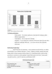 Slapto pirkėjo tyrimo ataskaita 4 puslapis