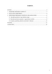 Socialiniai sprendimai – grupių ir organizacijų sprendimų priėmimas 2 puslapis