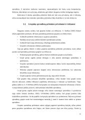 Socialiniai sprendimai – grupių ir organizacijų sprendimų priėmimas 13 puslapis