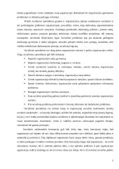 Socialiniai sprendimai – grupių ir organizacijų sprendimų priėmimas 6 puslapis