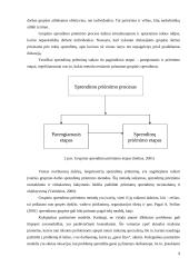 Socialiniai sprendimai – grupių ir organizacijų sprendimų priėmimas 10 puslapis