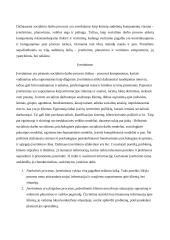 Socialinio darbo procesas: planavimas ir įvertinimas, vertinimas 3 puslapis