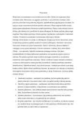 Socialinio darbo procesas: planavimas ir įvertinimas, vertinimas 6 puslapis