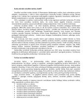 Socialinis darbas – viena naujausių profesijų Lietuvoje 3 puslapis