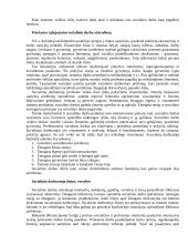 Socialinis darbas – viena naujausių profesijų Lietuvoje 4 puslapis