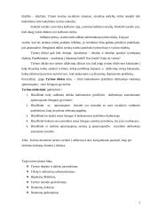 Socialinių tyrimų organizavimas 2 puslapis