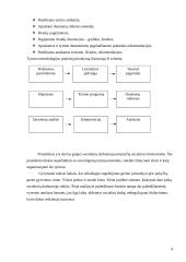 Socialinių tyrimų organizavimas 4 puslapis