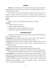 Organizacinių sprendimų priėmimas 3 puslapis