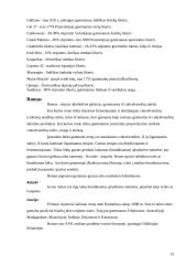 Stiprieji gėrimai 13 puslapis