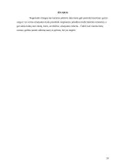 Stiprieji gėrimai 20 puslapis