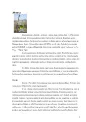 Stiprieji gėrimai 4 puslapis