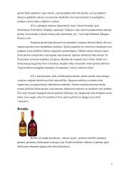 Stiprieji gėrimai 5 puslapis