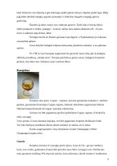 Stiprieji gėrimai 9 puslapis