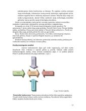 Strateginis valdymas: kavos, šokolado, prieskonių, kūdikių maisto ir kitų produktų gamintoja "Nestle" 12 puslapis