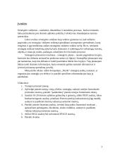 Strateginis valdymas: kavos, šokolado, prieskonių, kūdikių maisto ir kitų produktų gamintoja "Nestle" 2 puslapis