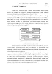 Stresas darbe: priežastys ir būdai jam įveikti 4 puslapis