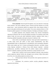 Stresas darbe: priežastys ir būdai jam įveikti 5 puslapis